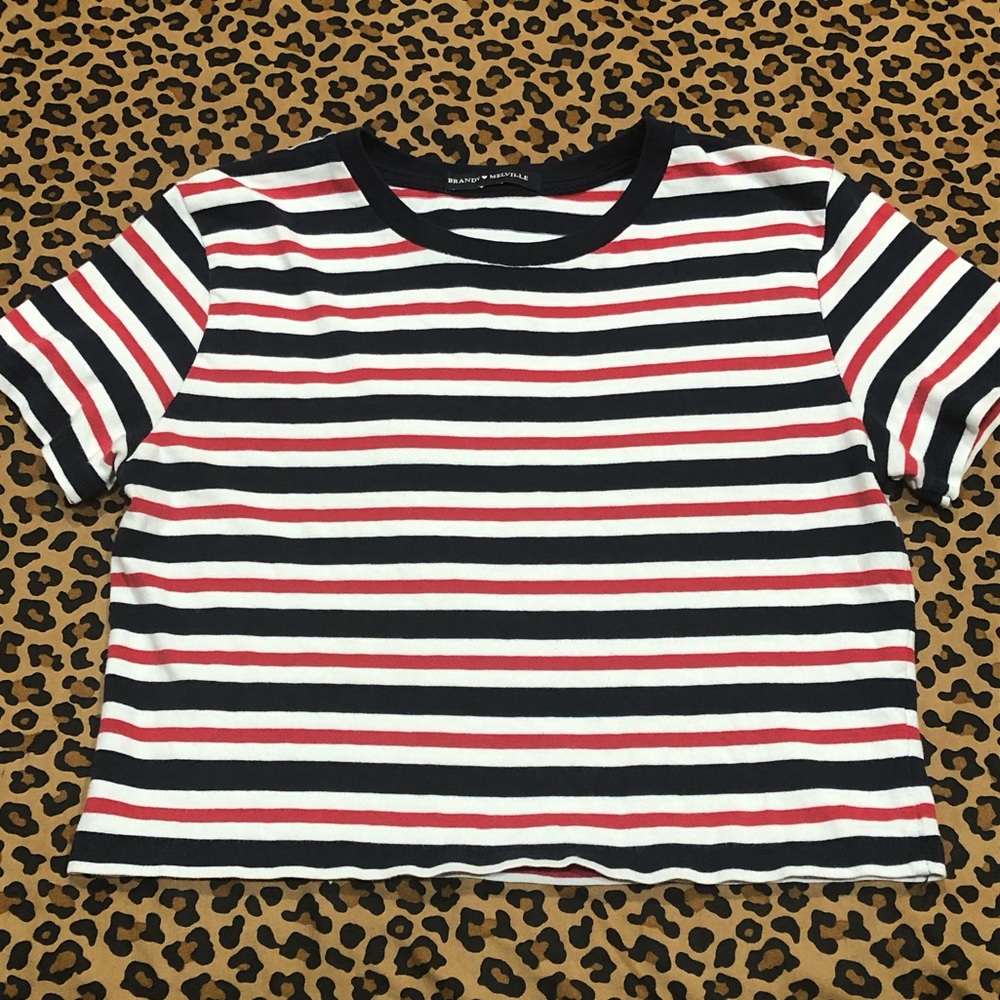 Brandy Melville Helen Ribbed Crewneck Striped Cropped Tee